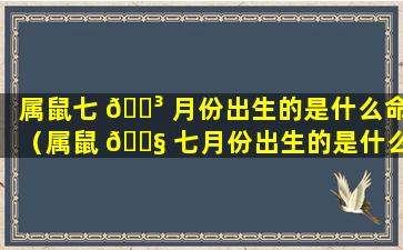 属鼠七 🌳 月份出生的是什么命（属鼠 🐧 七月份出生的是什么命人）